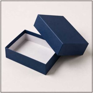 Blue Box Rev2