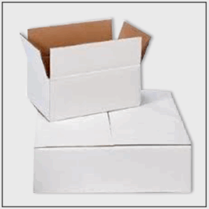 Image Asset (57)