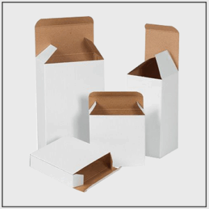 Image Asset (76)