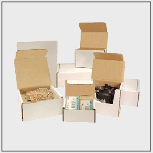 Image Asset (78)